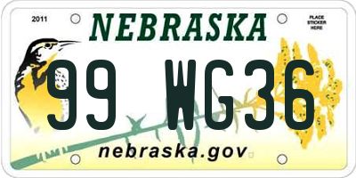 NE license plate 99WG36