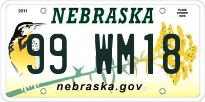 NE license plate 99WM18