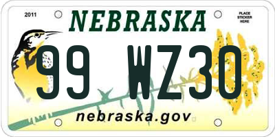 NE license plate 99WZ30