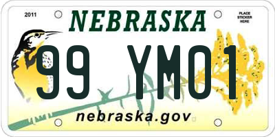 NE license plate 99YM01