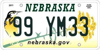 NE license plate 99YM33