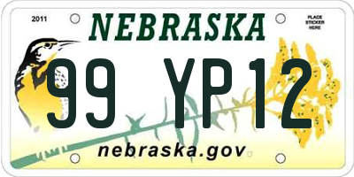 NE license plate 99YP12