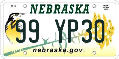 NE license plate 99YP30