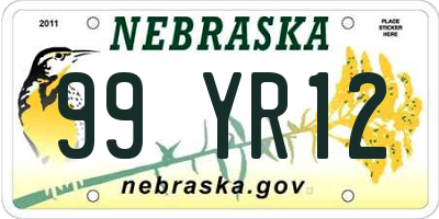 NE license plate 99YR12
