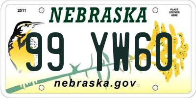 NE license plate 99YW60