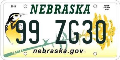 NE license plate 99ZG30