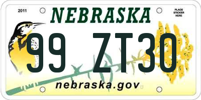 NE license plate 99ZT30