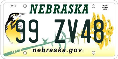 NE license plate 99ZV48