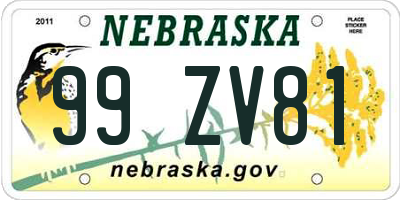 NE license plate 99ZV81