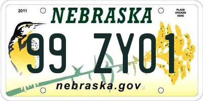 NE license plate 99ZY01