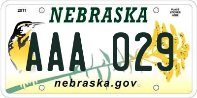 NE license plate AAA029