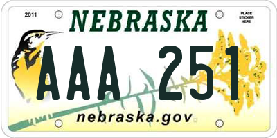 NE license plate AAA251