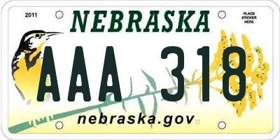 NE license plate AAA318