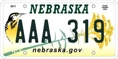 NE license plate AAA319