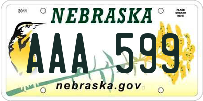 NE license plate AAA599