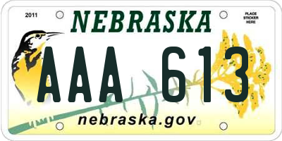 NE license plate AAA613