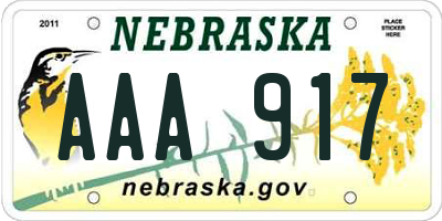 NE license plate AAA917