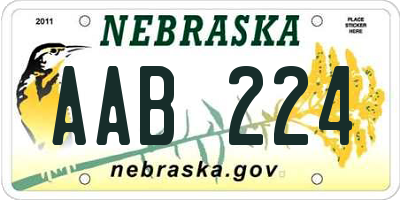 NE license plate AAB224