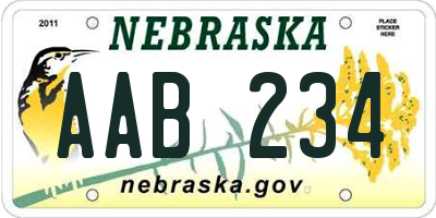 NE license plate AAB234