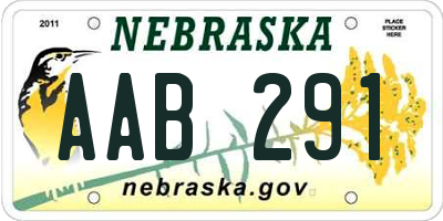 NE license plate AAB291