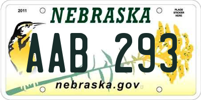 NE license plate AAB293