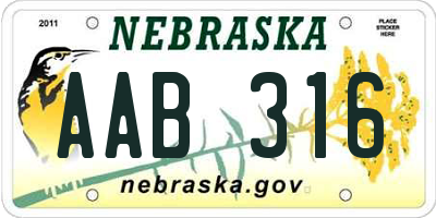 NE license plate AAB316