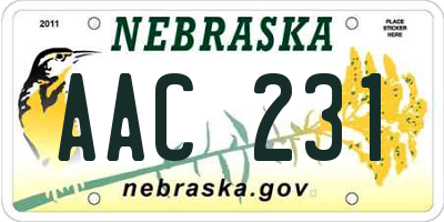 NE license plate AAC231