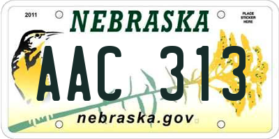 NE license plate AAC313