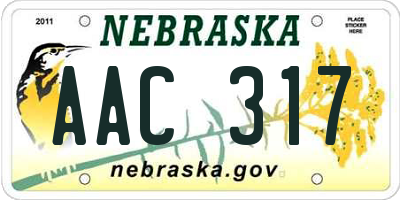 NE license plate AAC317