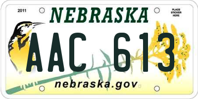 NE license plate AAC613