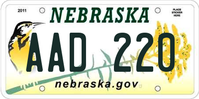 NE license plate AAD220