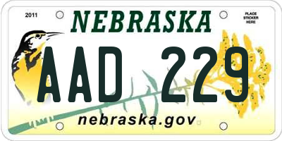 NE license plate AAD229