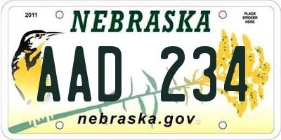 NE license plate AAD234