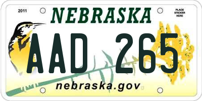 NE license plate AAD265
