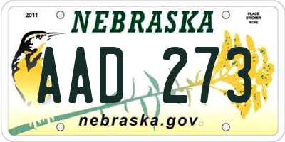 NE license plate AAD273