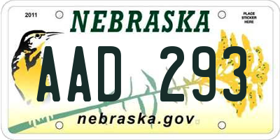 NE license plate AAD293