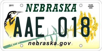 NE license plate AAE018