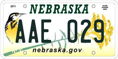 NE license plate AAE029