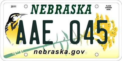 NE license plate AAE045