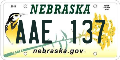 NE license plate AAE137