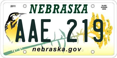 NE license plate AAE219