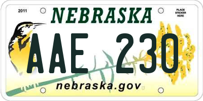 NE license plate AAE230