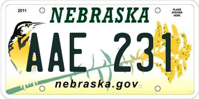 NE license plate AAE231