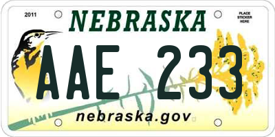 NE license plate AAE233