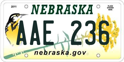 NE license plate AAE236