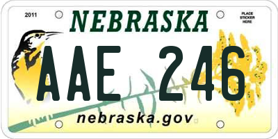 NE license plate AAE246