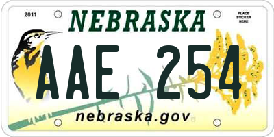 NE license plate AAE254