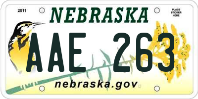 NE license plate AAE263