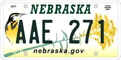 NE license plate AAE271