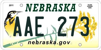 NE license plate AAE273